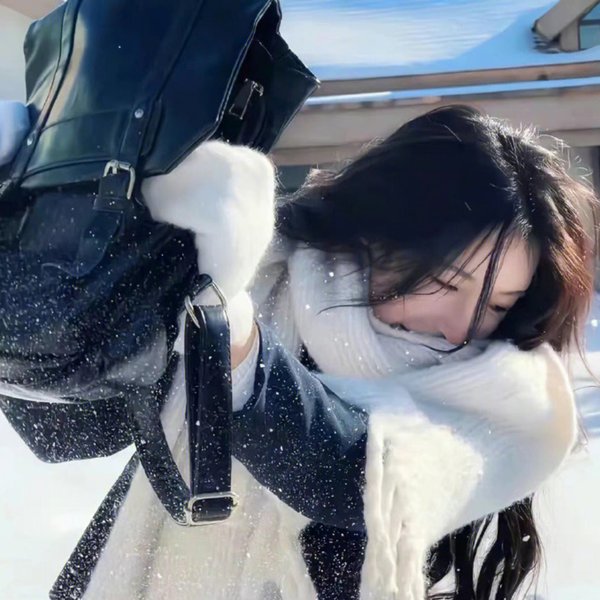 铁翼惊情